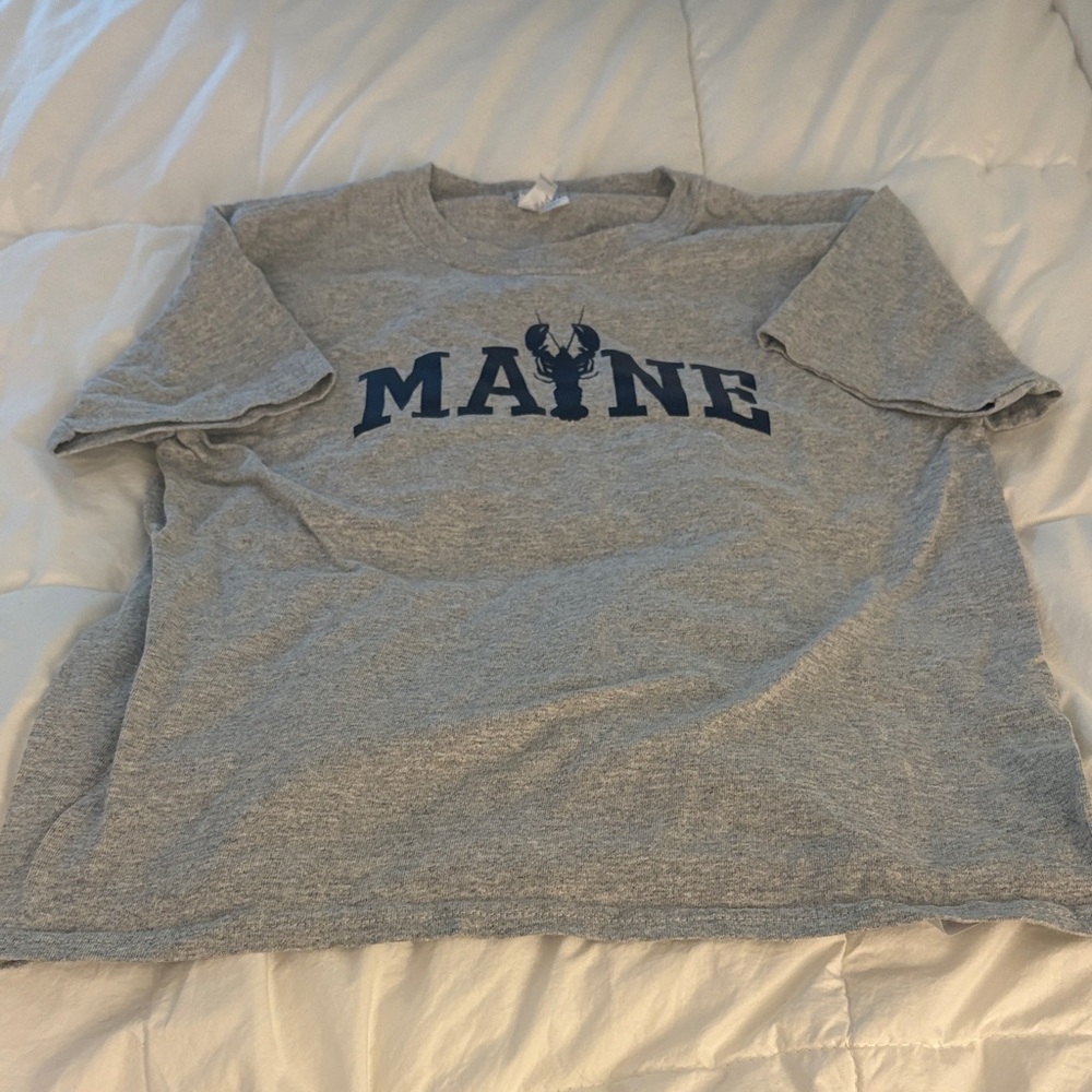 Boys Gray Maine T-Shirt Size Y Small